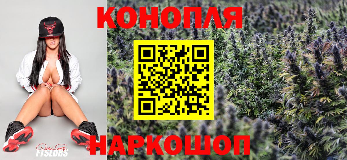 Шишки марихуана марихуана Канск